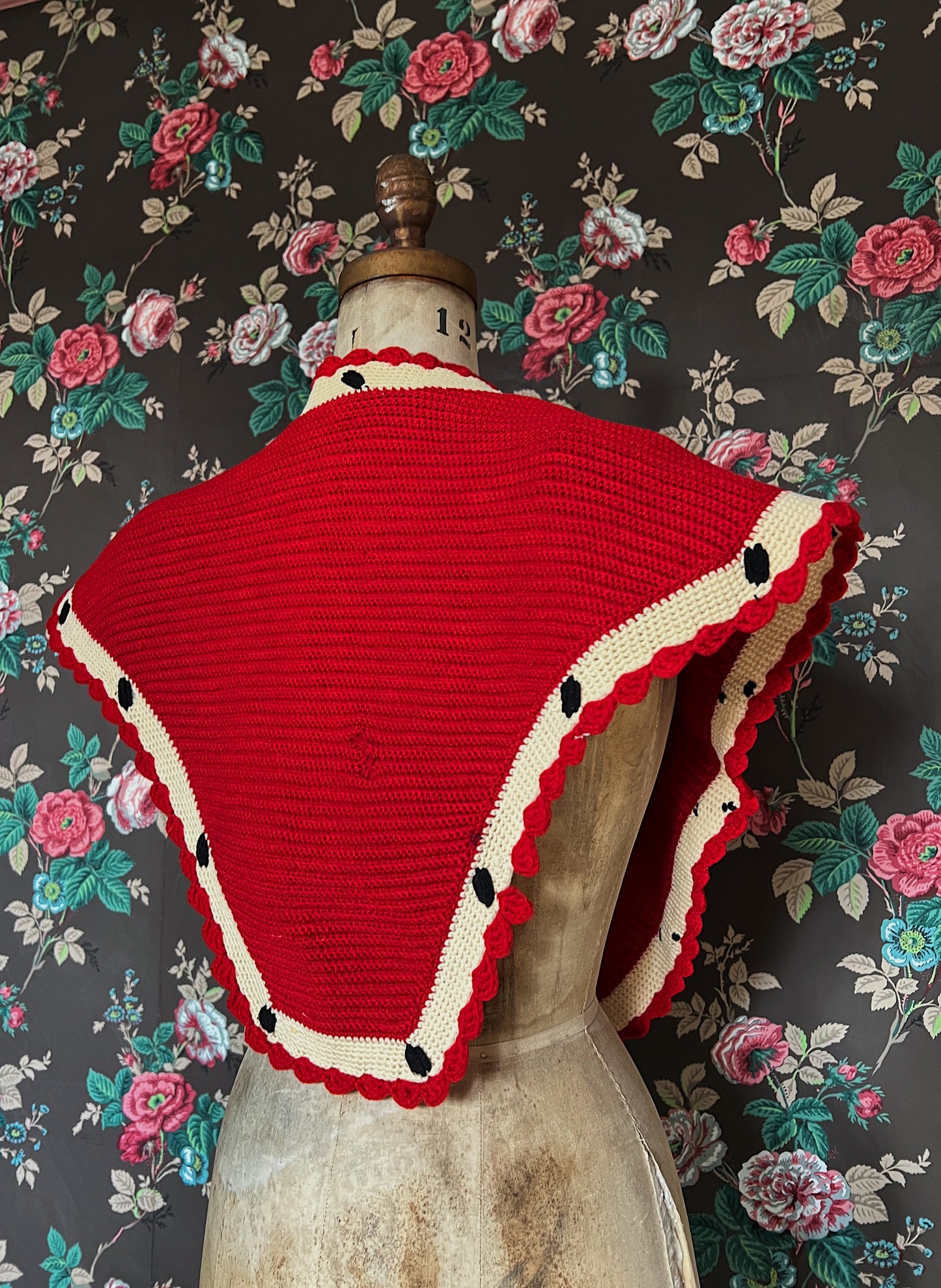 Late 1800s Sontag Shawl With Provenance