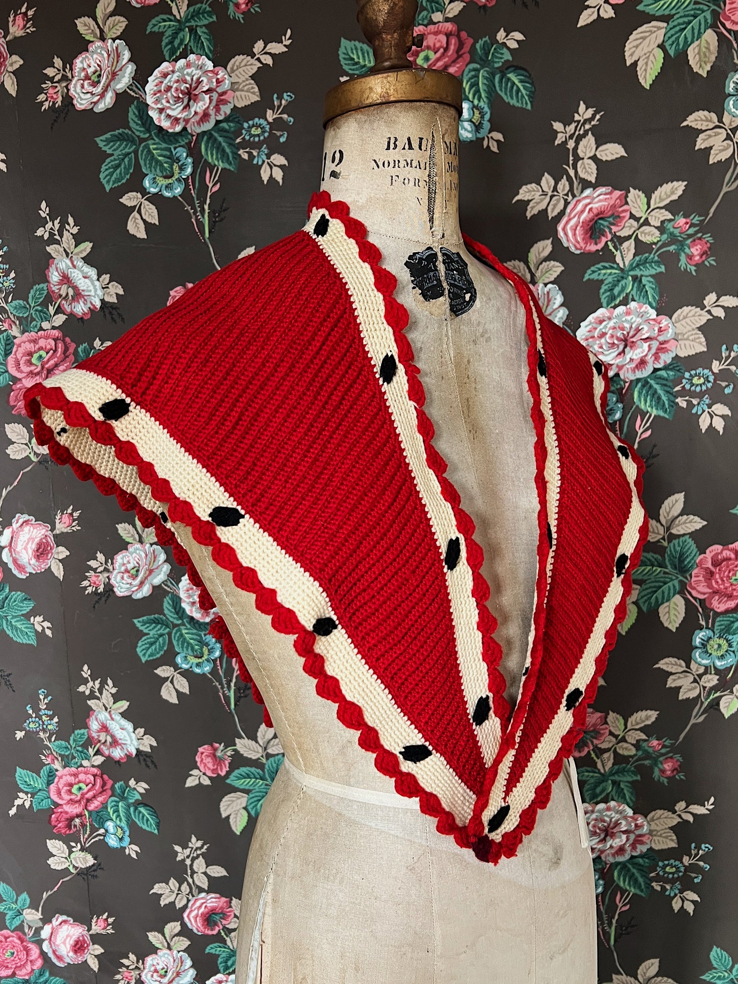 Late 1800s Sontag Shawl With Provenance