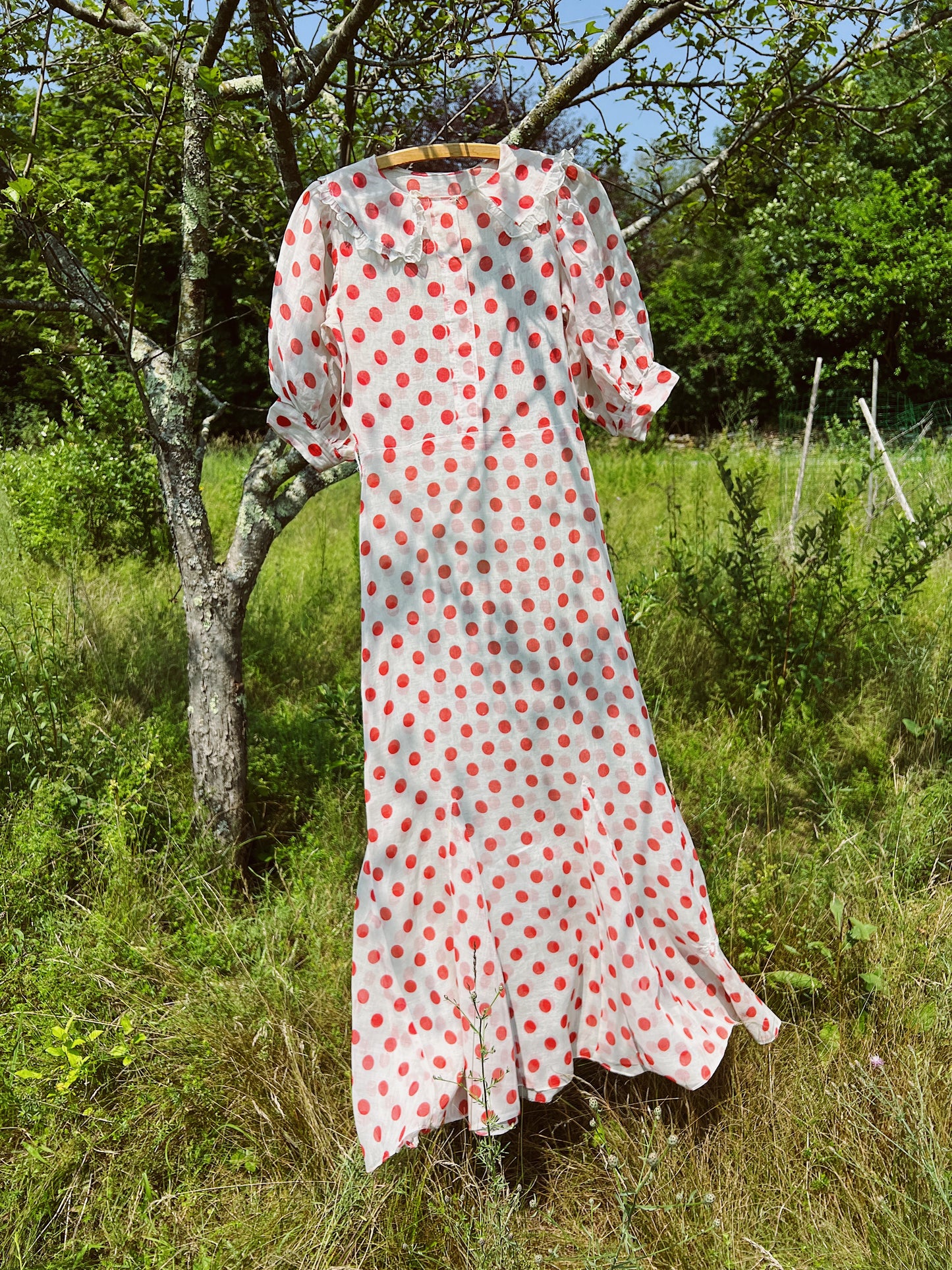 1930s Full Length Sheer Organza Polka Dot Day Dress With Super Puff Sleeves
