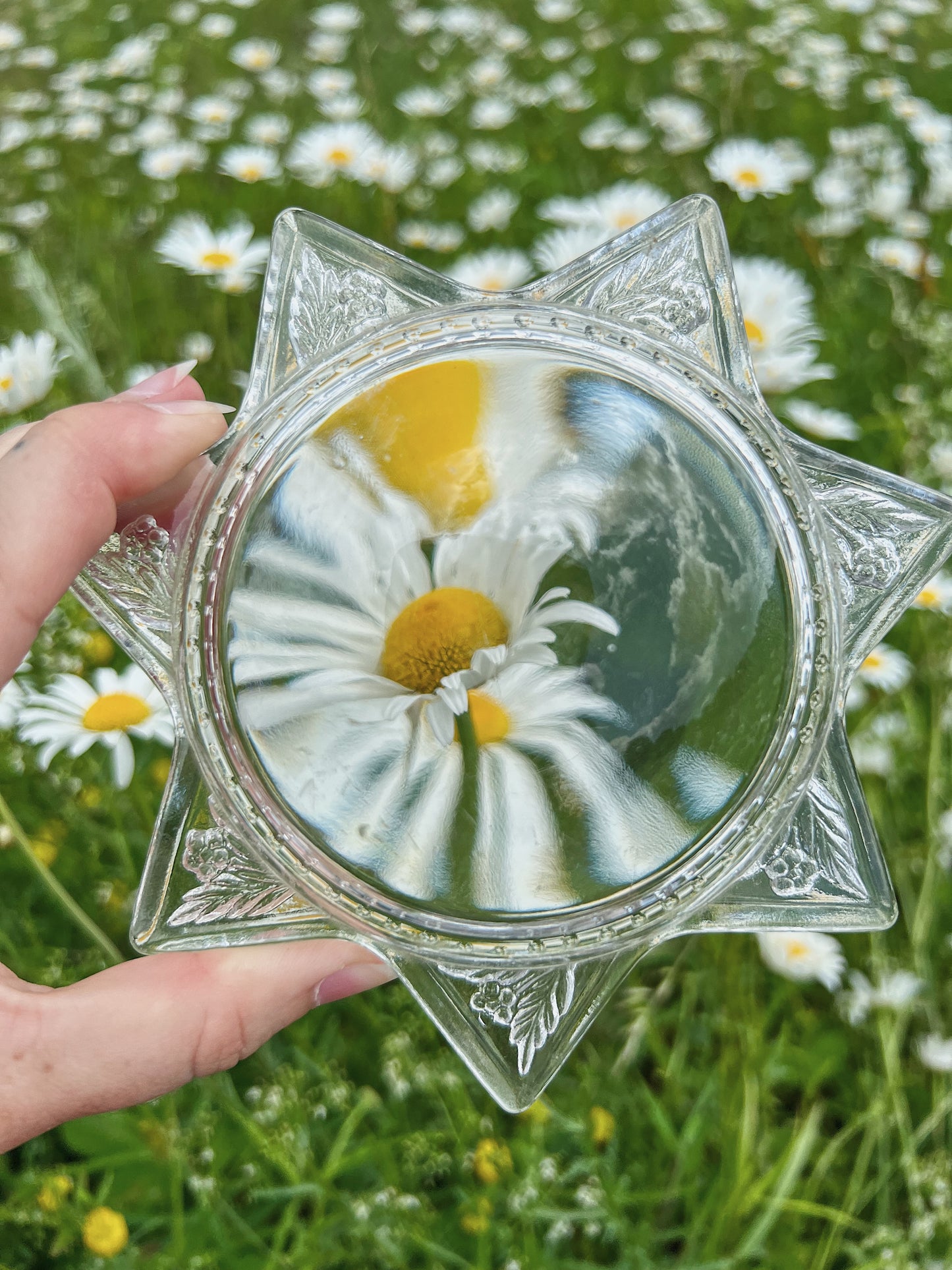 Victorian-Era 7 Pointed Star Magnifying Paper Weight