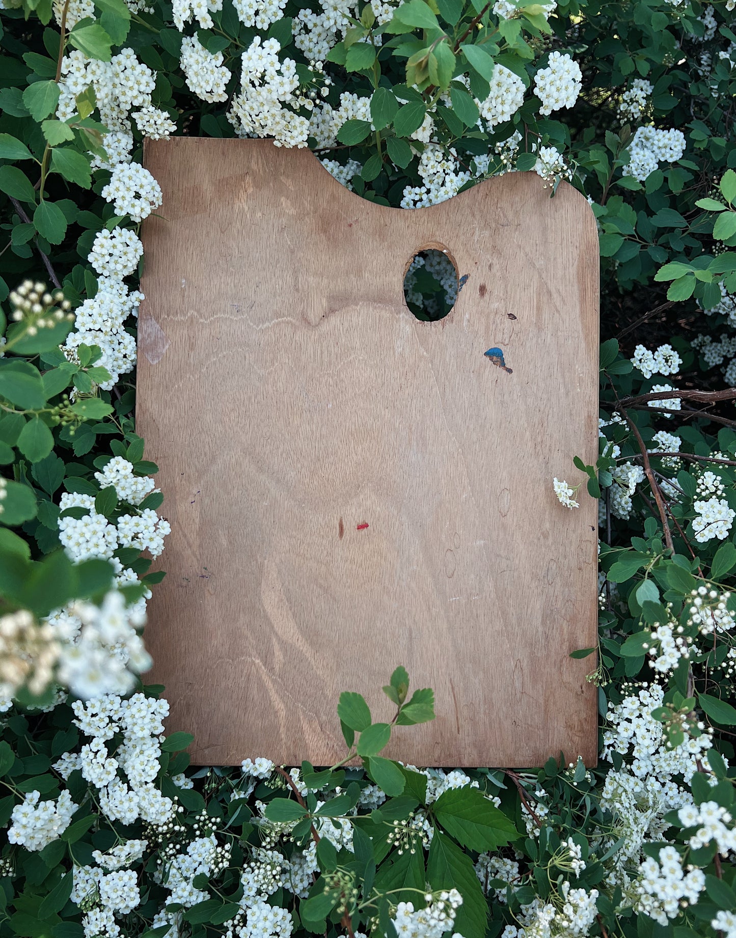 Antique Wood Painter’s Palette