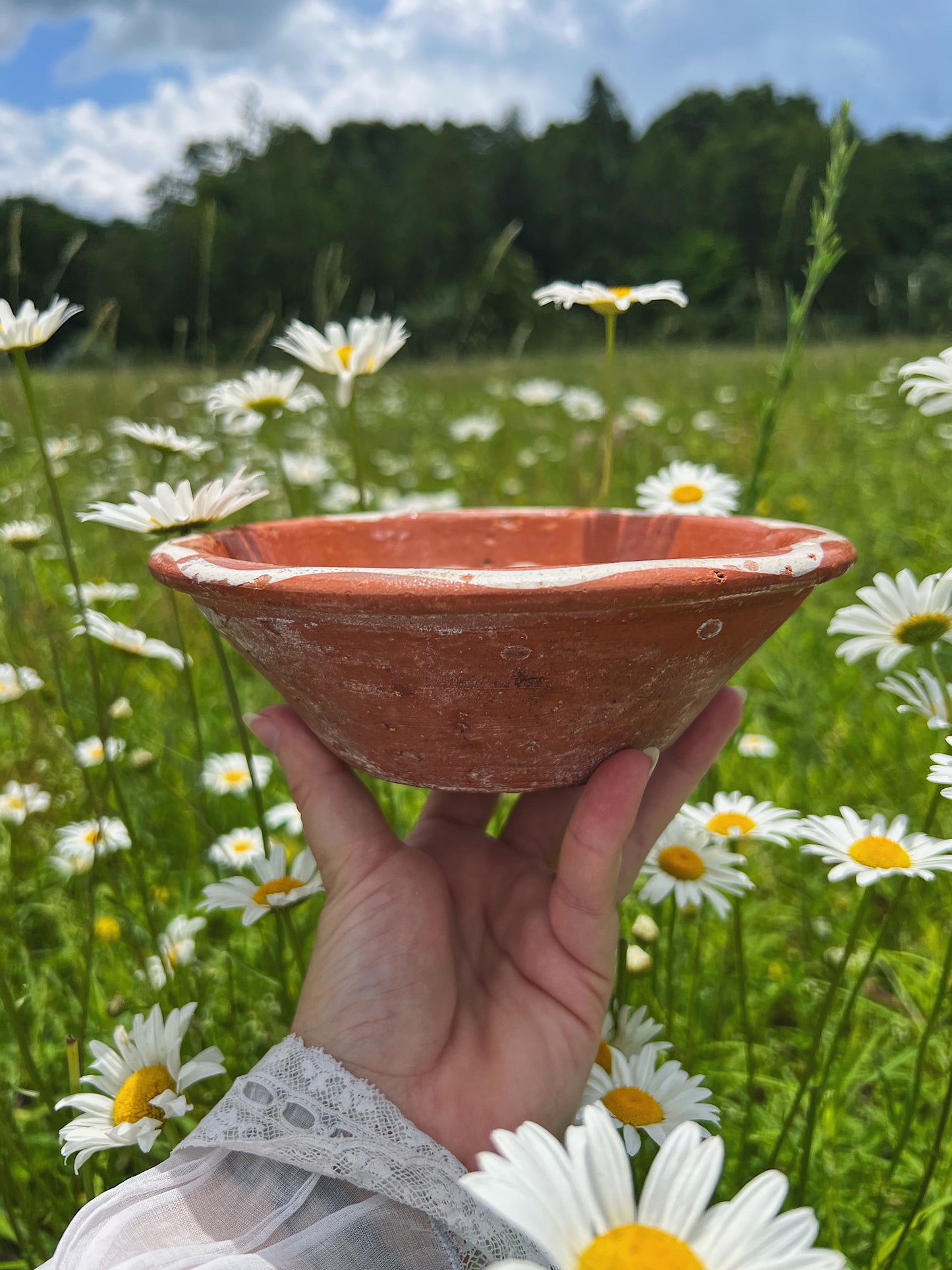 1940s Mexican Bandera Pottery Bowl