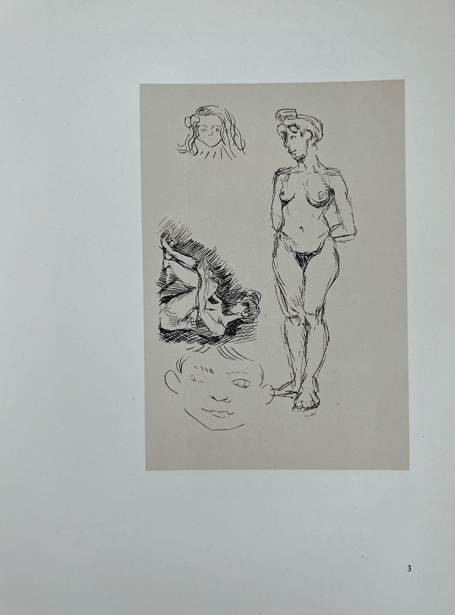 Etchings By Matisse Museum Of Modern Art Exhibition Catalog, Published 1954